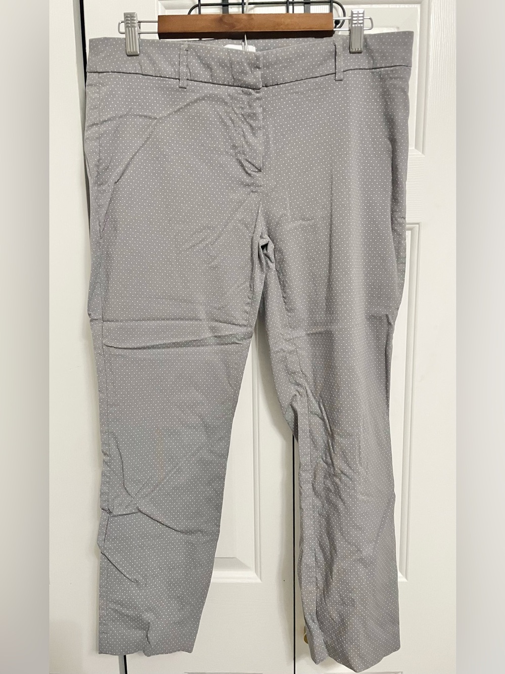 Kenar Light Gray Cropped Ankle Pants with Micro Dot Print